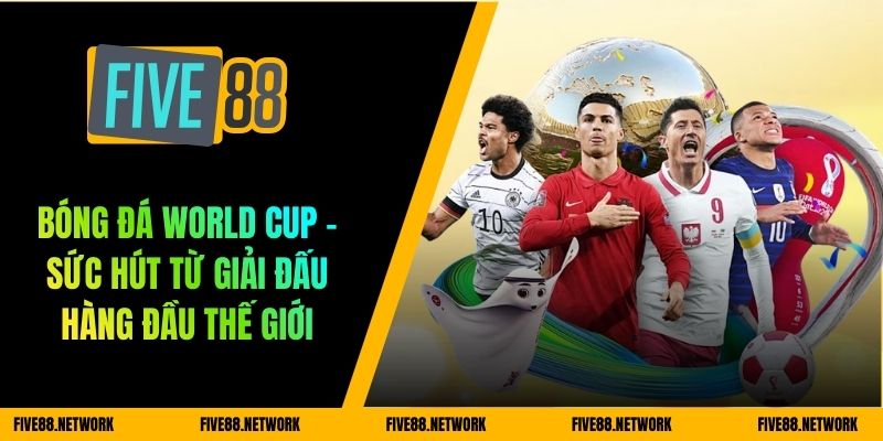 bóng đá World Cup