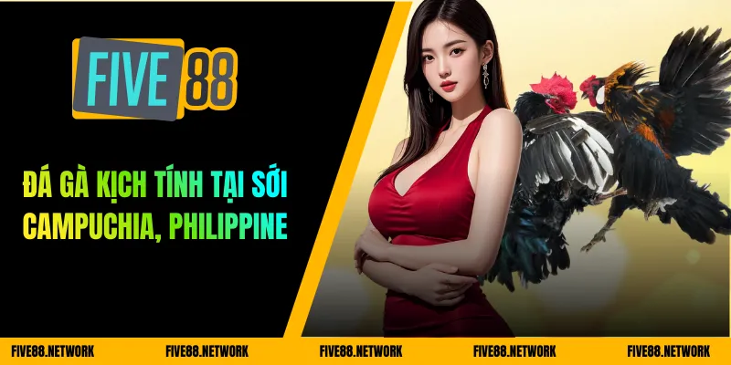 Đá gà kịch tính tại sới Campuchia, Philippine