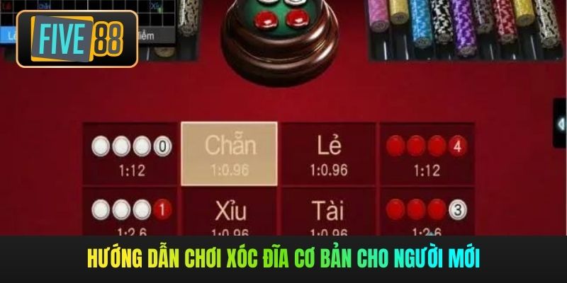 Hướng dẫn chơi xóc đĩa cơ bản cho người mới
