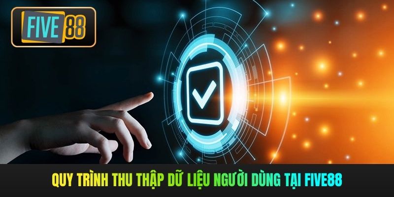 Quy trình thu thập dữ liệu người dùng tại Five88