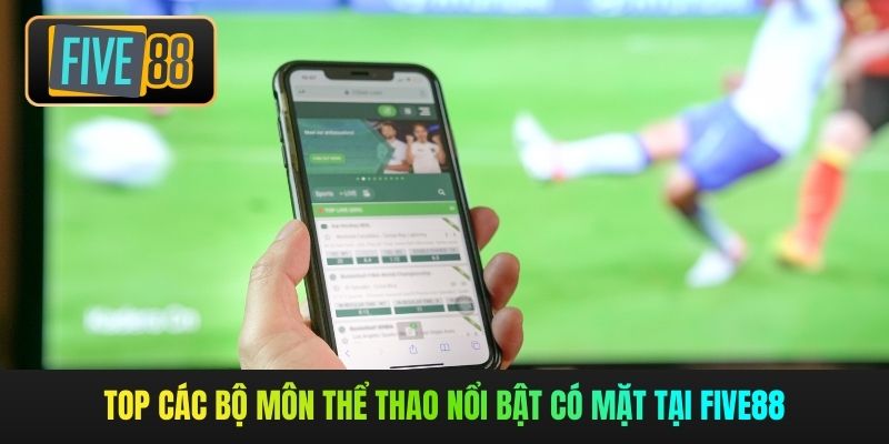 Top các bộ môn thể thao nổi bật có mặt tại Five88